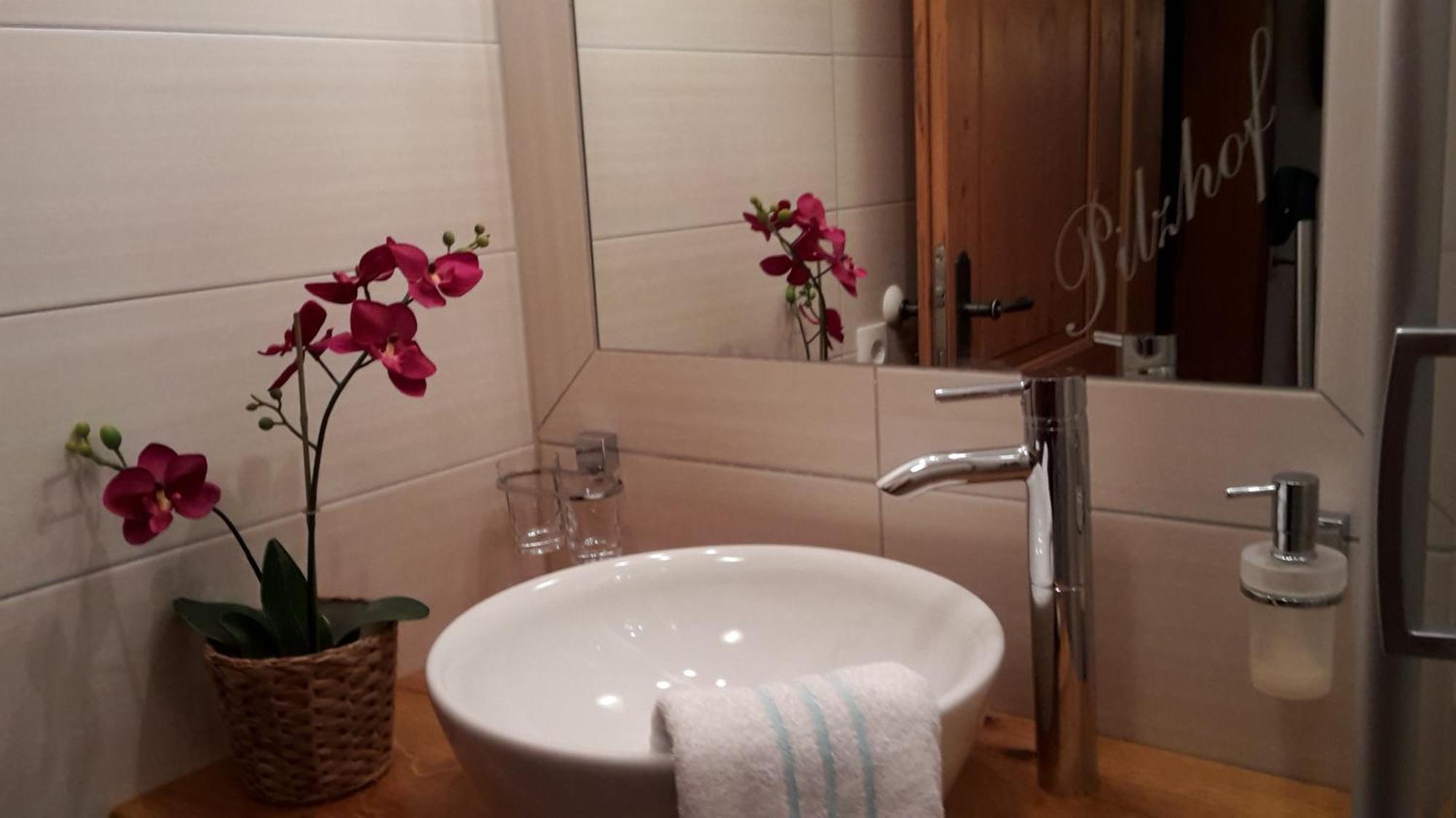 Appartement Pilzhof Filzmoos Eksteriør billede